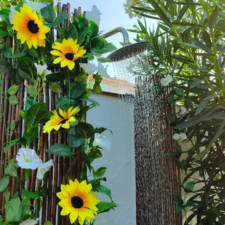 Casa de Férias Aroeira Garden *