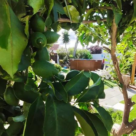 Aroeira Garden Casa de Férias Aroeira (Setubal)